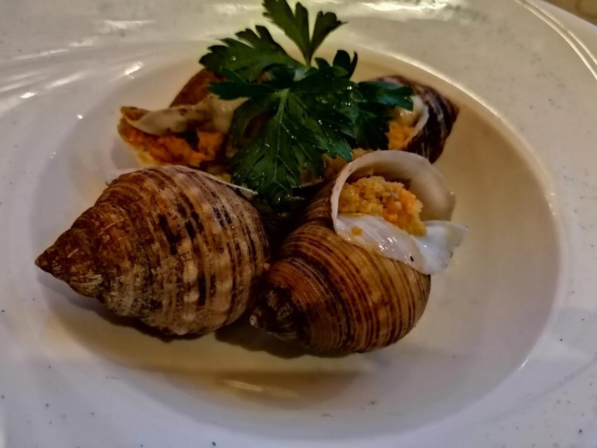 Da Mariolino Hotel Numana Bagian luar foto